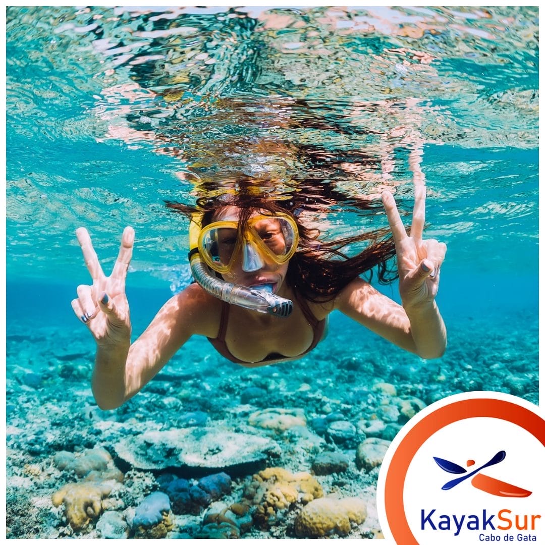 Snorkel y Diversión Familiar
